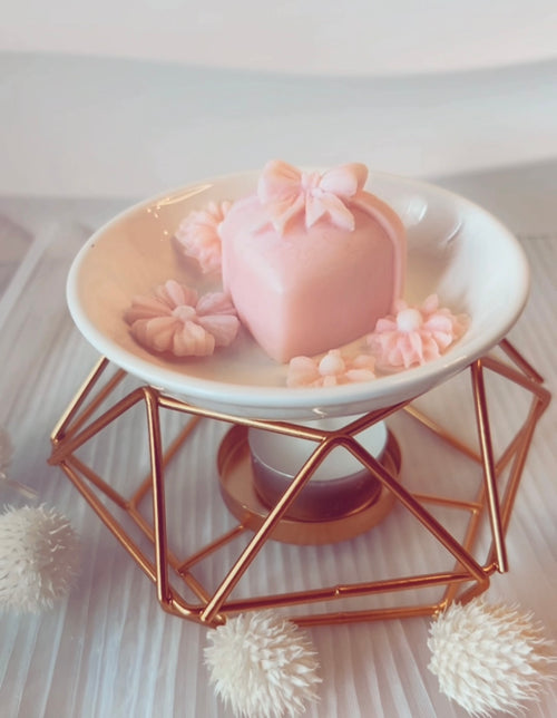 BRUCIA CANDELA CON TARTELLETTE DI CERA DI SOIA